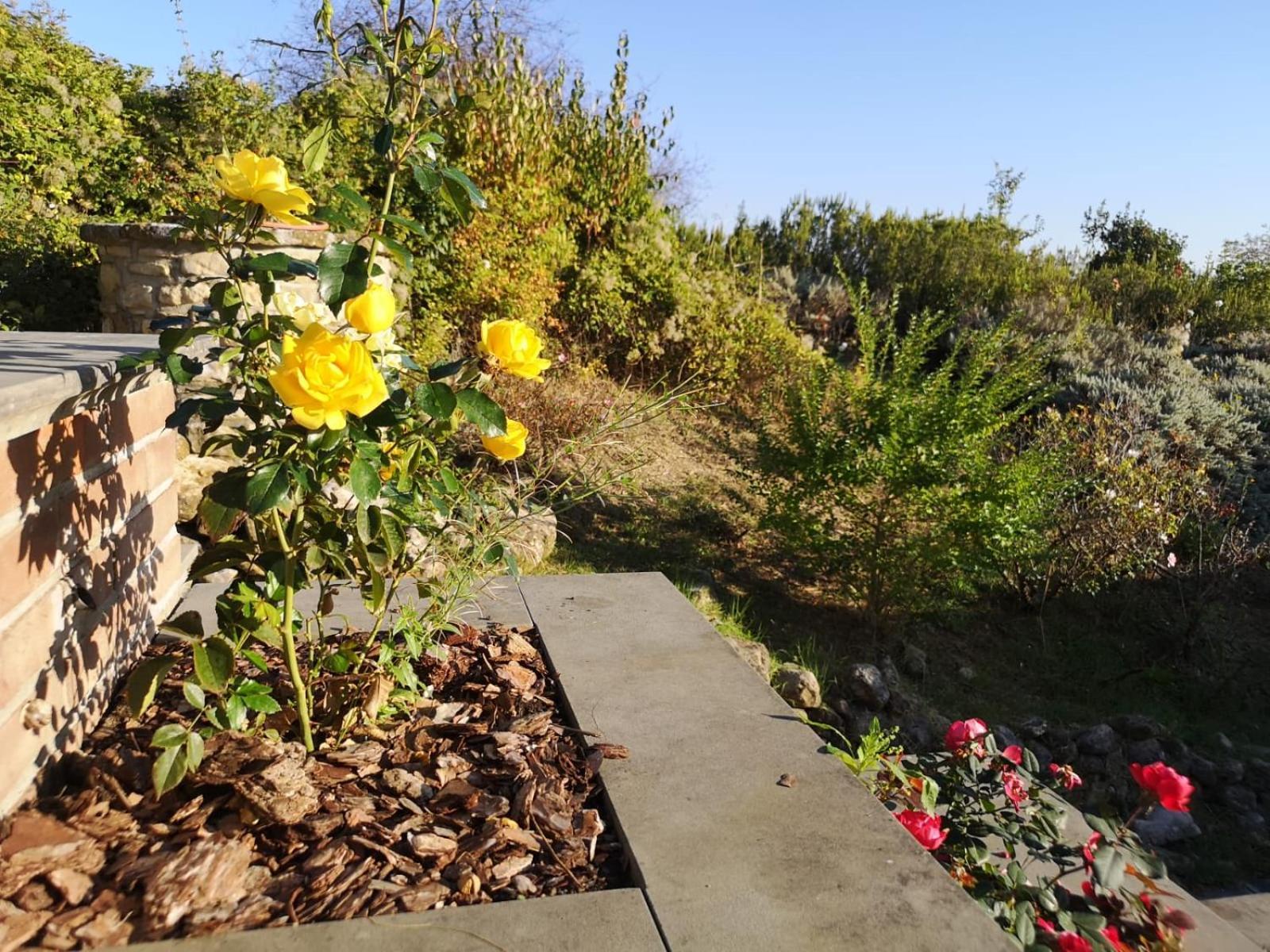 Tenuta Borgo San Michele Country house