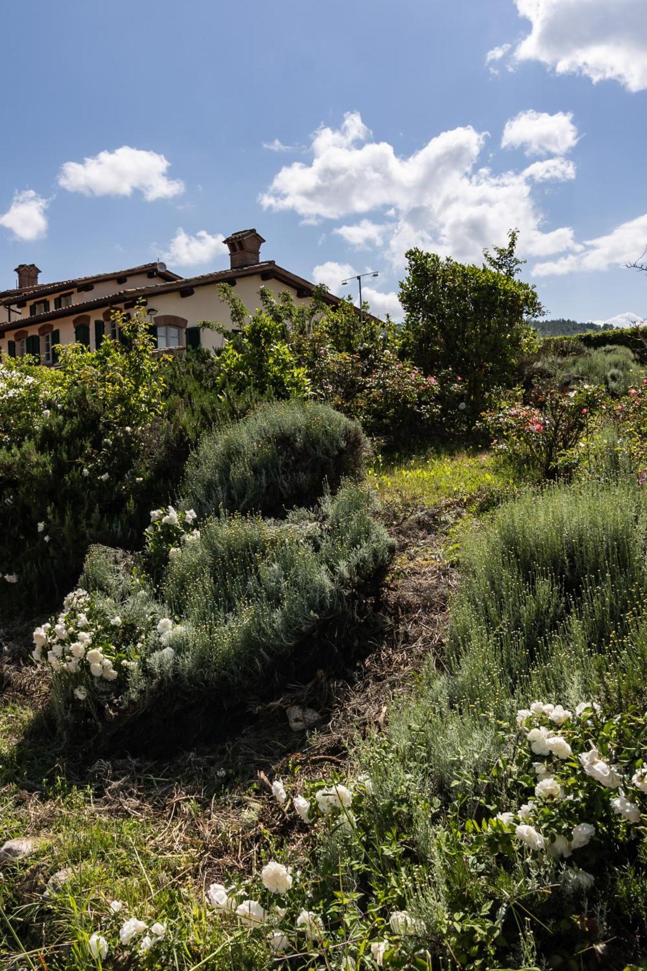 Tenuta Borgo San Michele * Gubbio